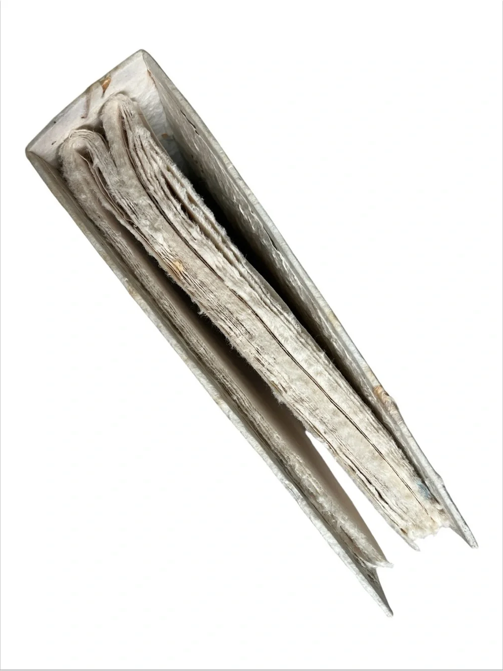 NEW Botanical Memory/Scrapbook with Natural Leaf Accents